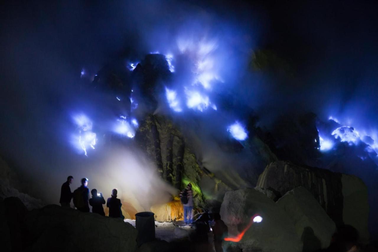 Dannu'S Homestay & Ijen, Bromo, Meru Betiri Sukomade Tours بانيووانجى المظهر الخارجي الصورة