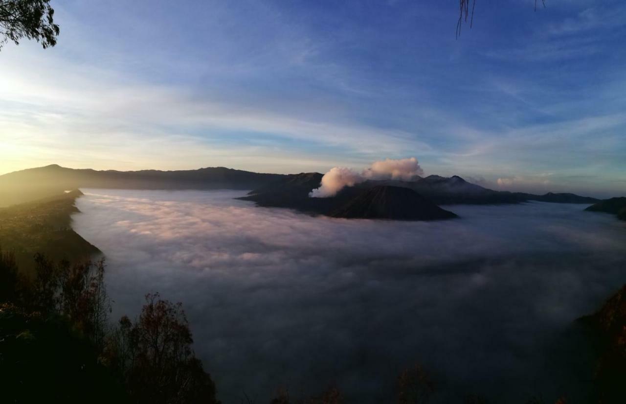 Dannu'S Homestay & Ijen, Bromo, Meru Betiri Sukomade Tours بانيووانجى المظهر الخارجي الصورة